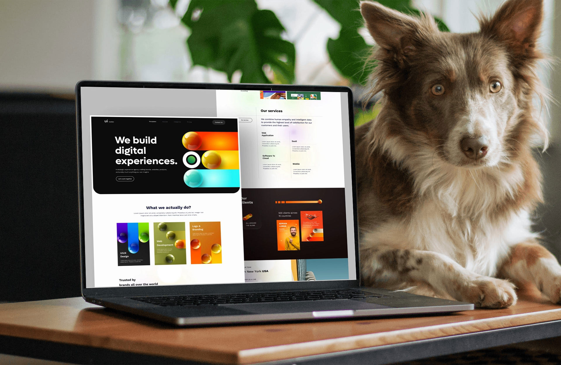 Site e-Commerce Produits Naturels